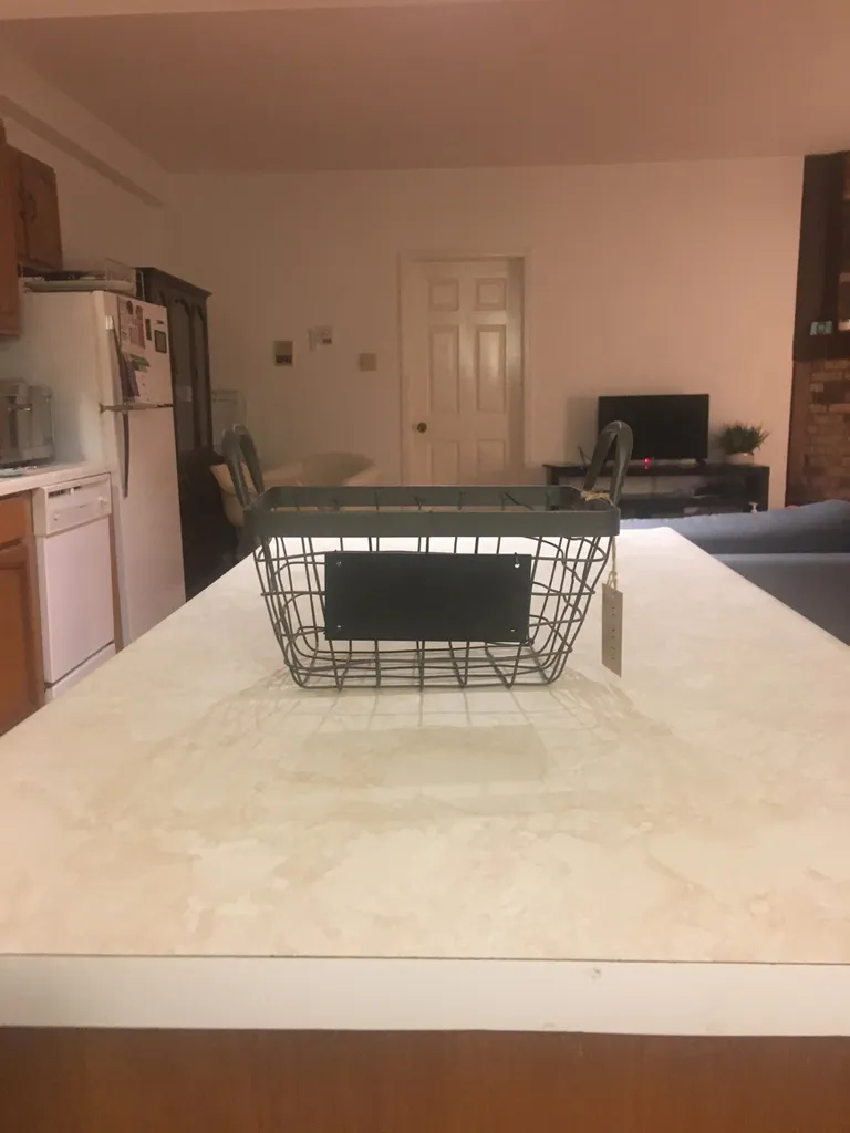 Metal Wire Basket photo 1