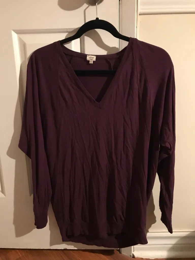 Aritzia Wilfred Long Sleeve photo 1