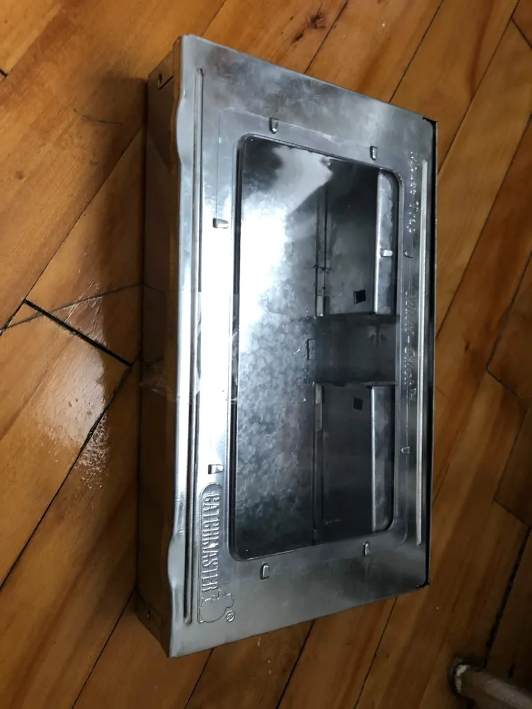 Live Mouse Trap photo 1