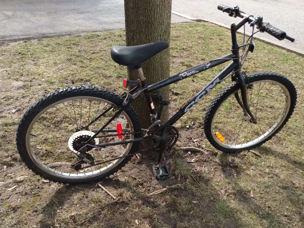 Mountain Bike photo 1