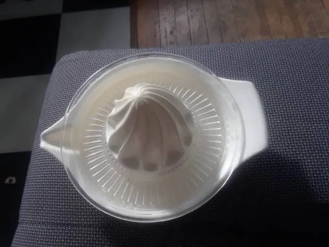 Citrus Juicer / Presse À Agrumes photo 1