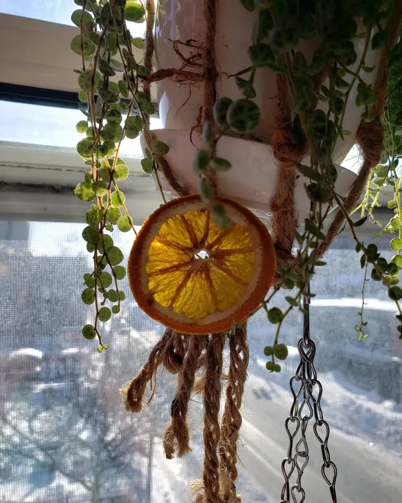 🍊Homemade Orange Slice Earings🍊 photo 1