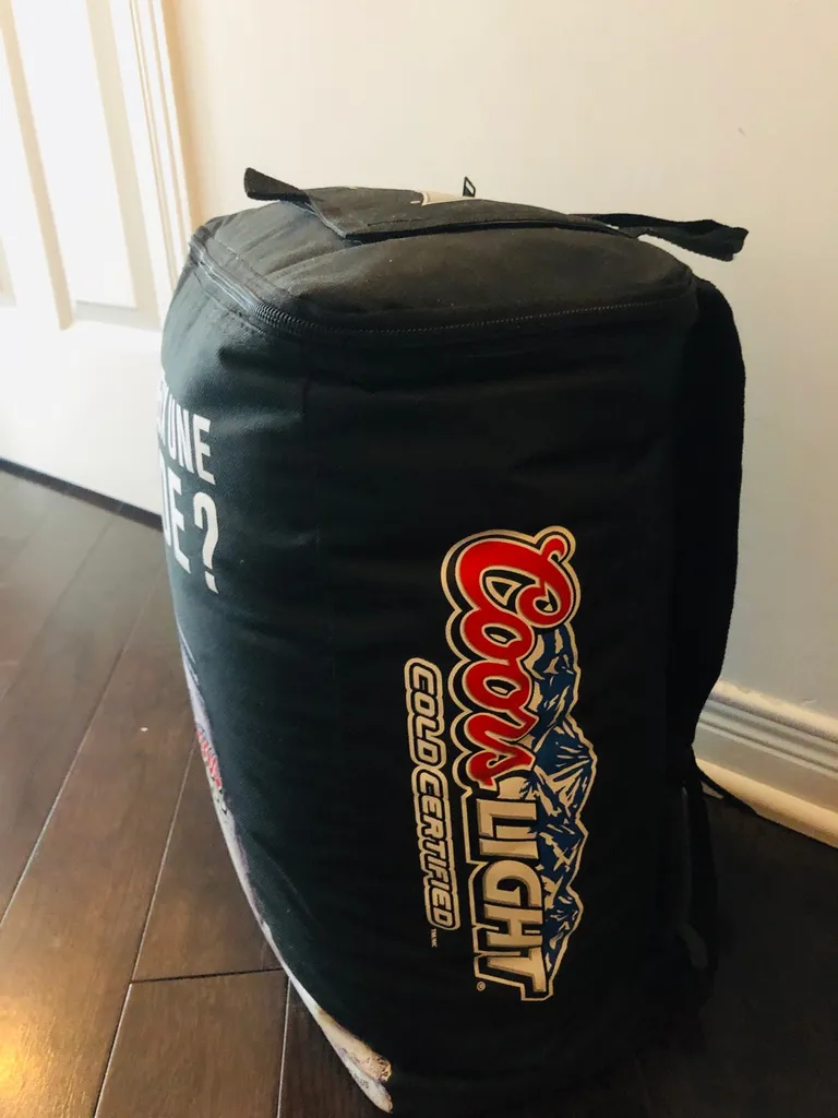 Cooler bag/ Lined Lunch Bag/Backpack photo 1