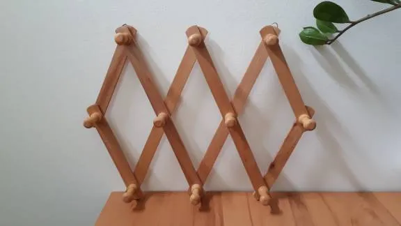 3 Extendable/accordion Coat Hooks photo 1