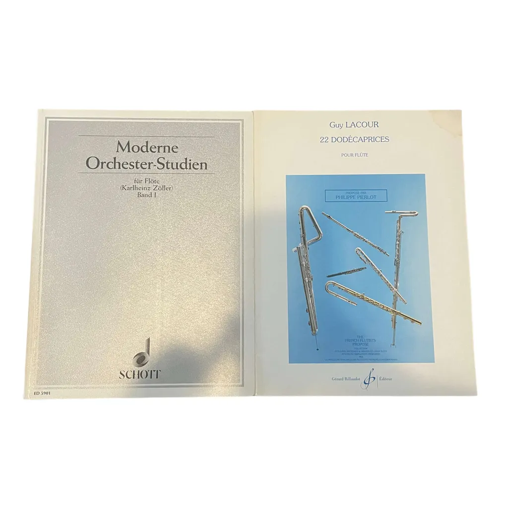 Flute Sheet Music photo 1