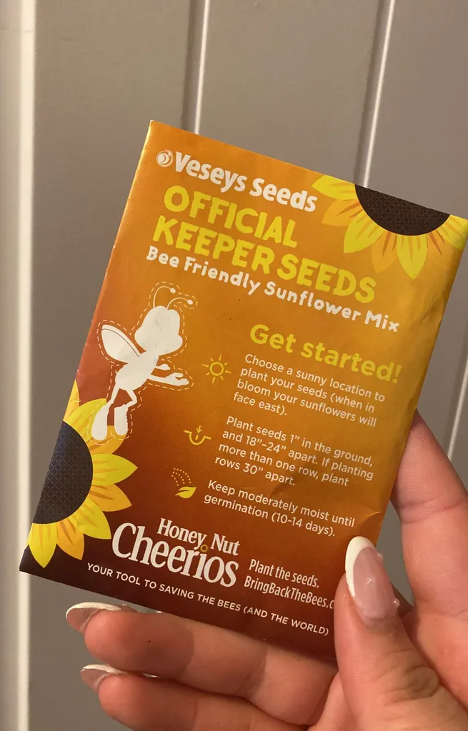 Sunflower Seeds photo 1