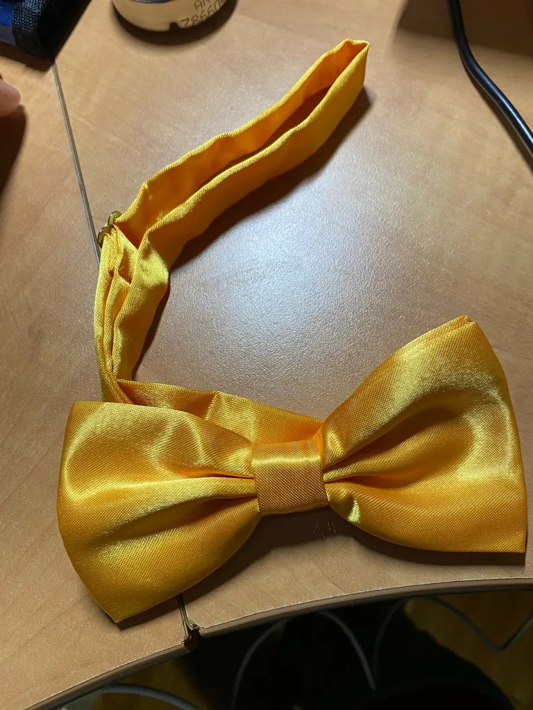 Brand New Bow tie photo 1