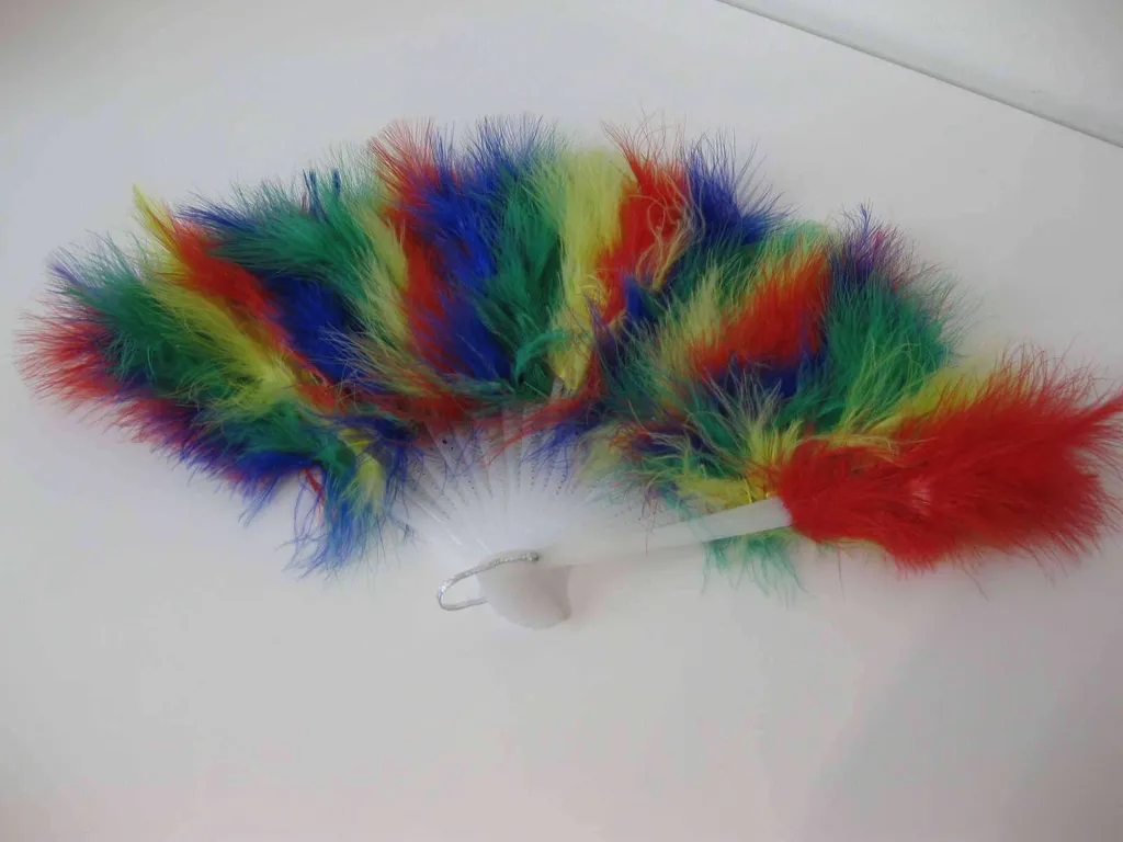 Rainbow feather fan photo 1