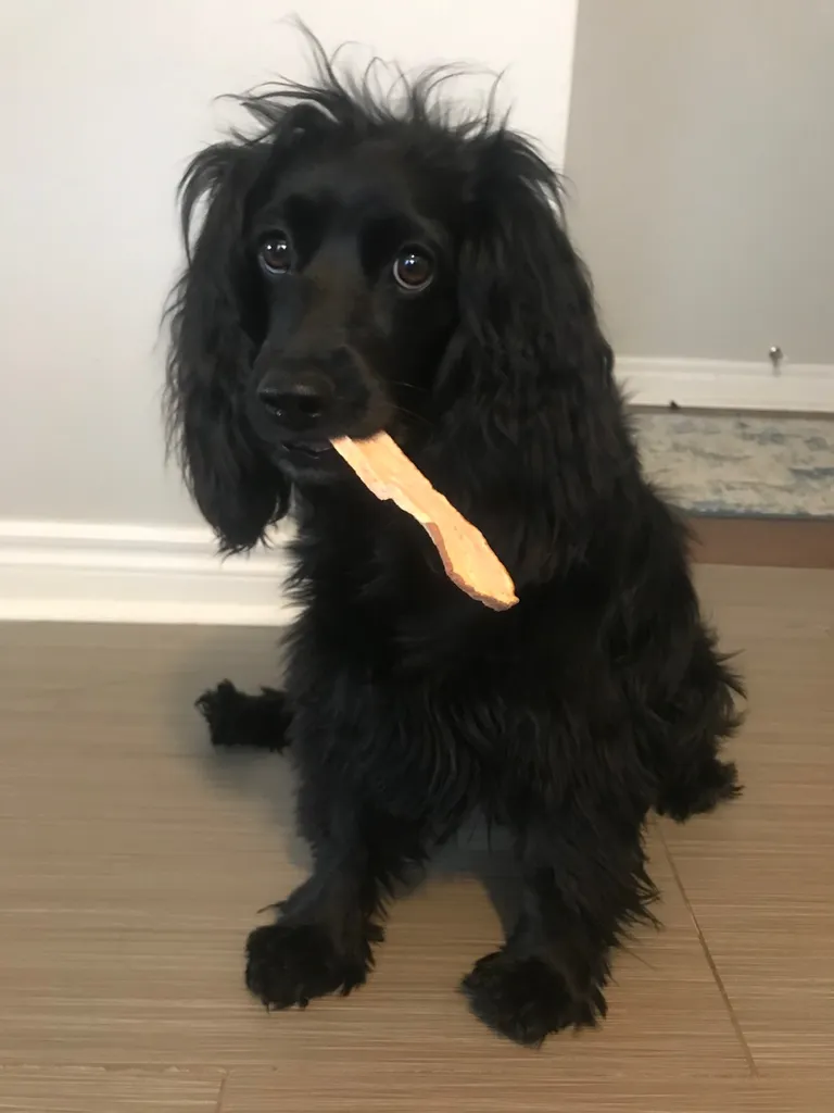 HANDMADE PUP TREATS photo 1