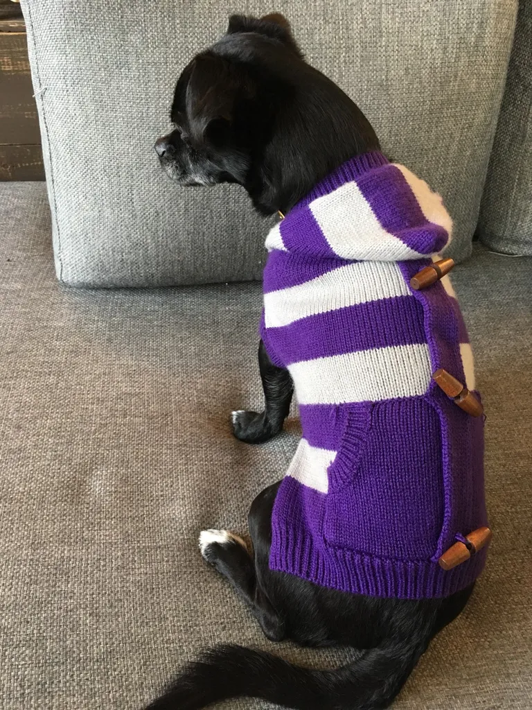 Dog Sweater Small photo 1
