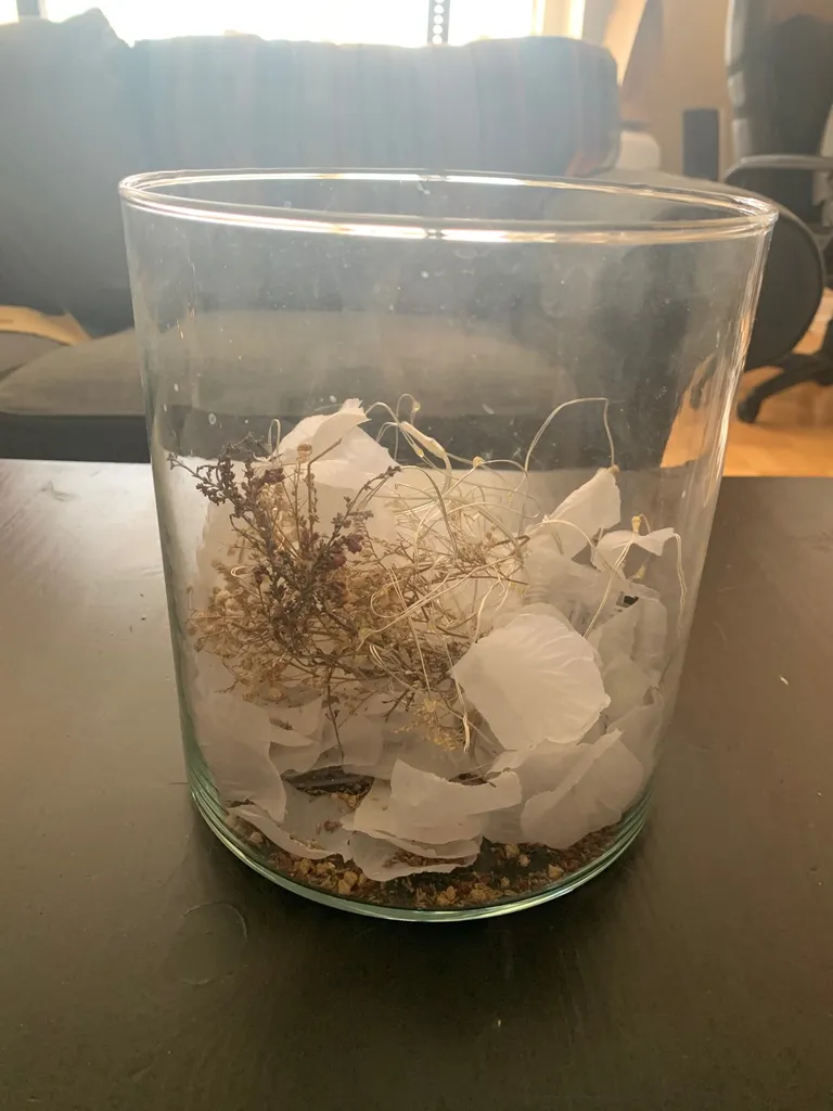Glass Terrarium Thing photo 1