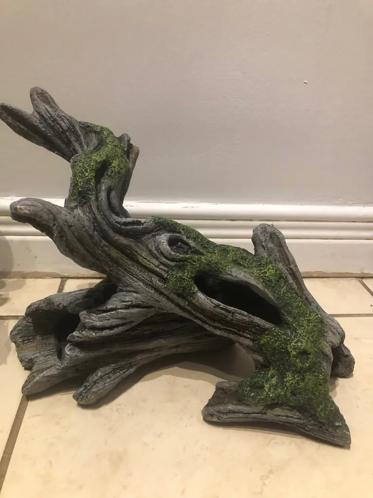 Reptile House photo 1