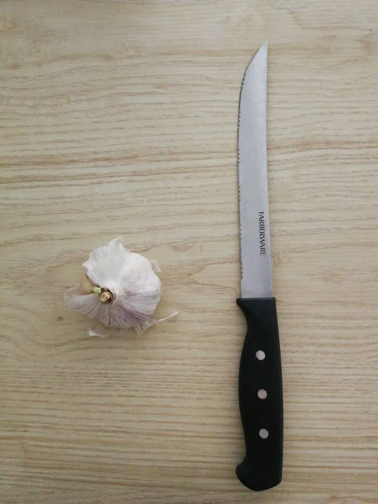 Big Sharp Knife photo 1