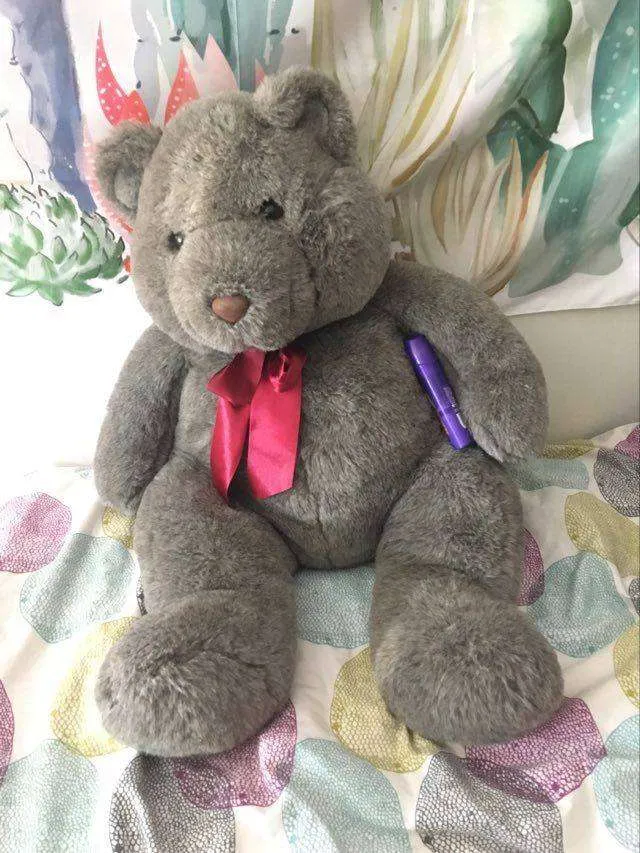 **FREE - Big EUC Bear 🤎🧸 photo 1