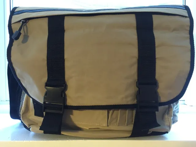 Courier Bag photo 1