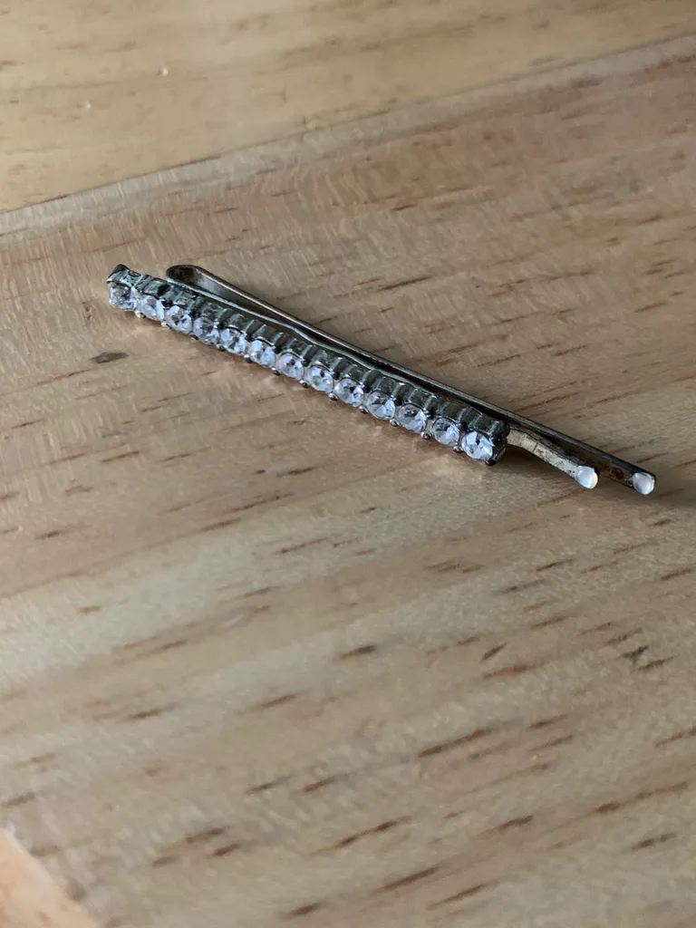 🆓 Sparkly Hair Pin photo 1