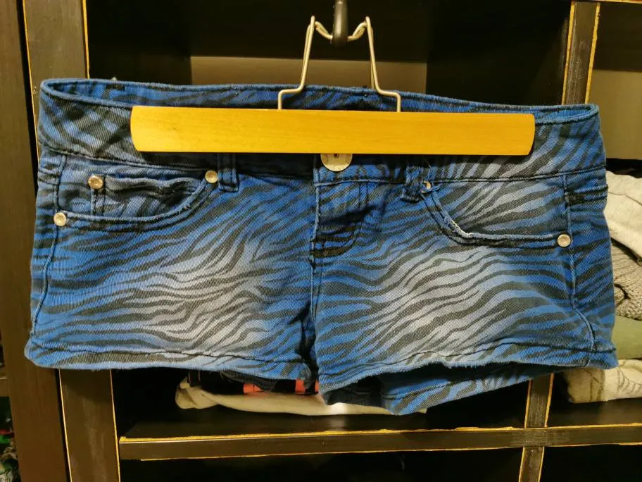 Blue Zebra Print Shorts photo 1
