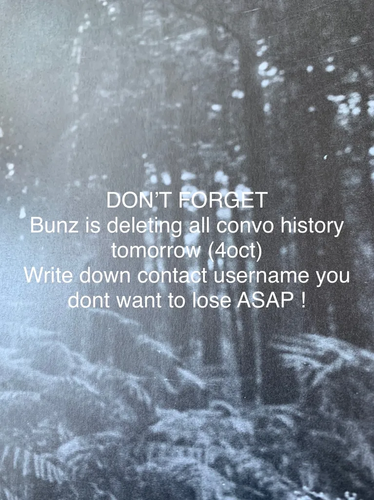 BUNZ UPDATES photo 1