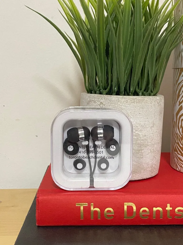 (FREE) Earbuds With Extra Ear Tips And Case photo 1