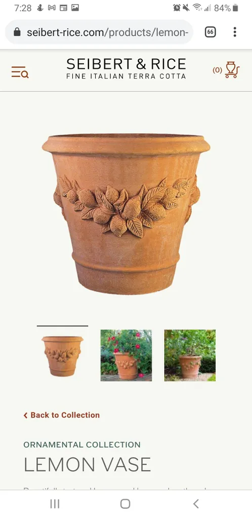 LOOKING for Large Clay Planters/Urns photo 1