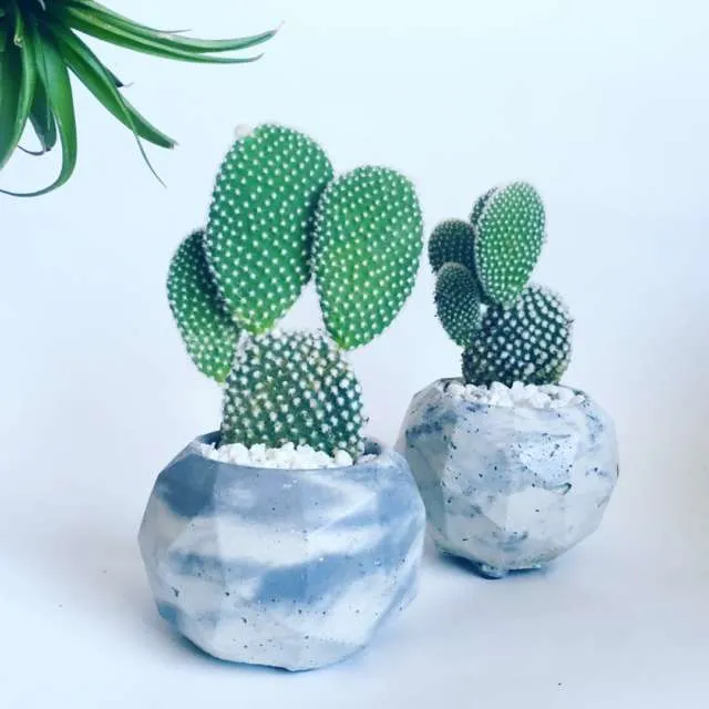 Bunz flea vendor photo 1