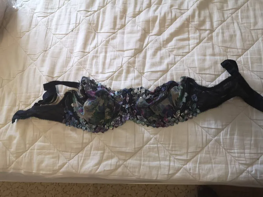 BNWOT Fantasy Bra 34E photo 1