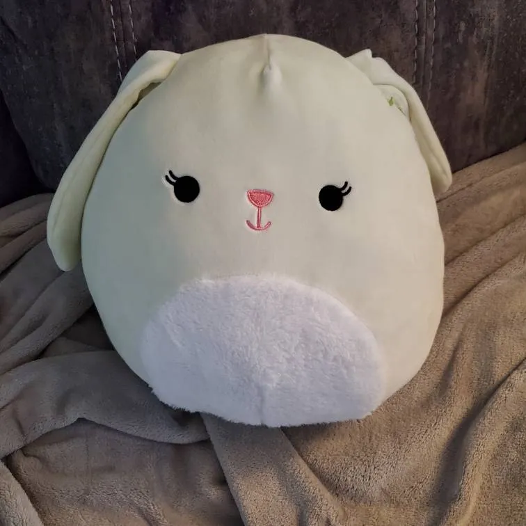 Squishmallows Bunny photo 1