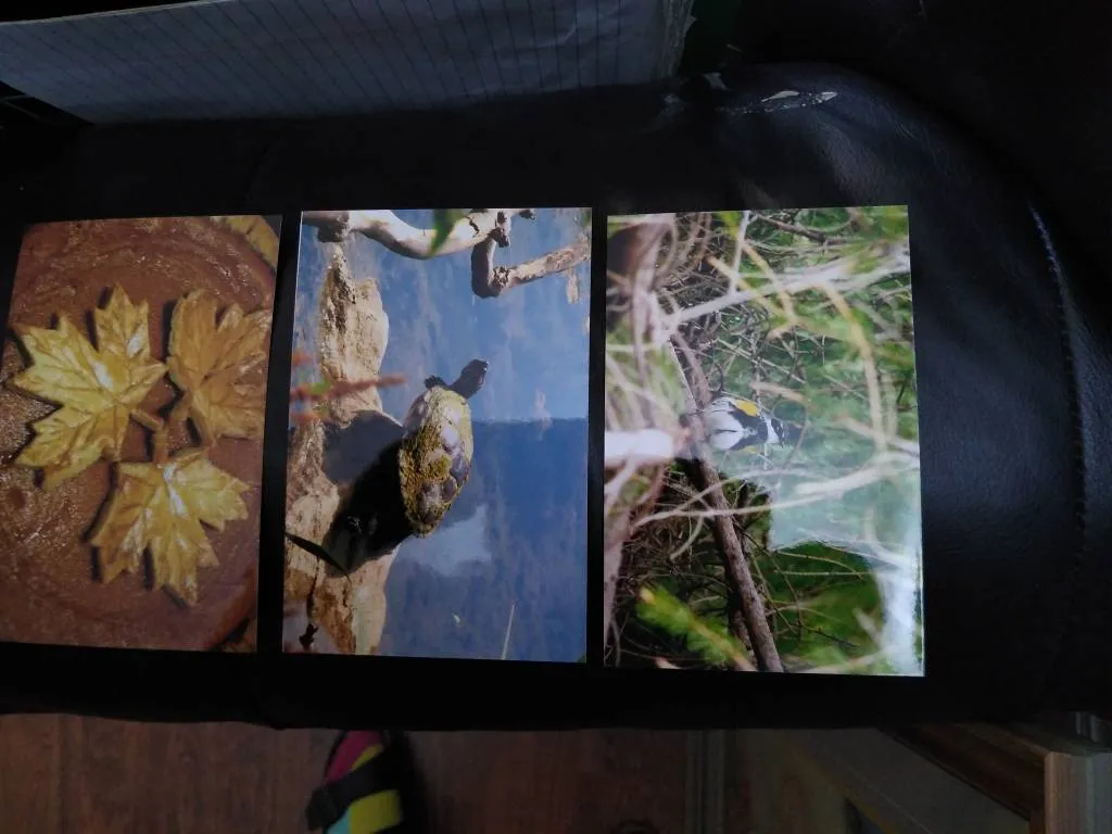 Photo Art Set photo 1