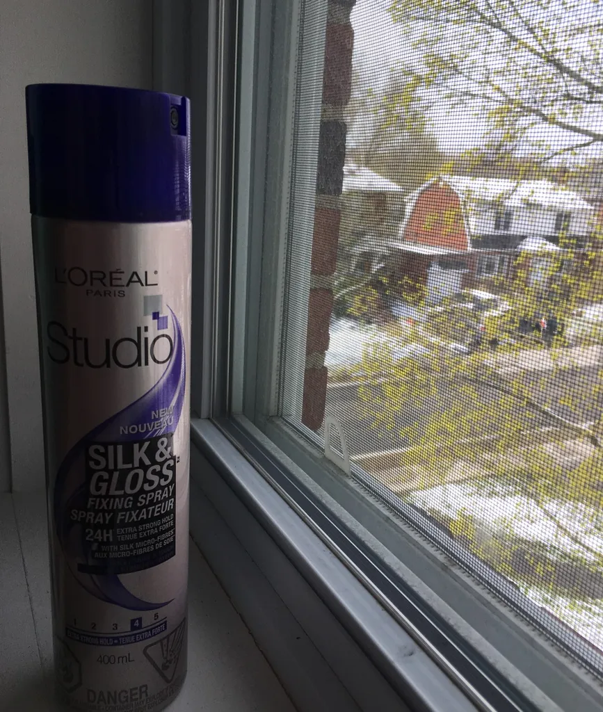 Mostly Full Hairspray - FREE photo 1