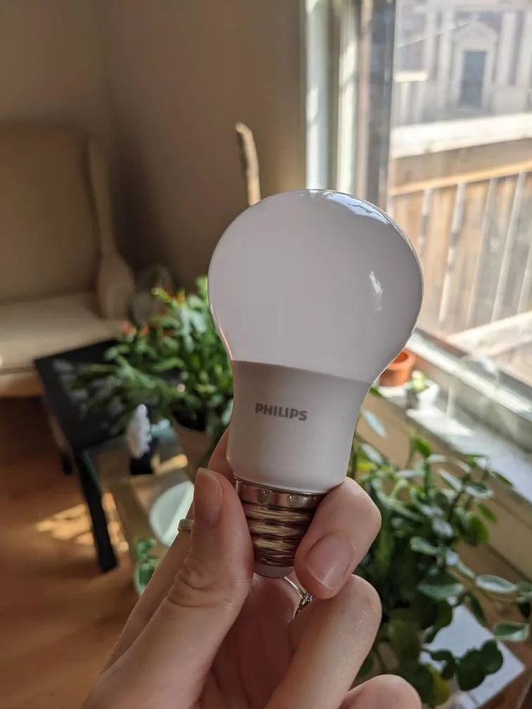 LED Lightbulb photo 1