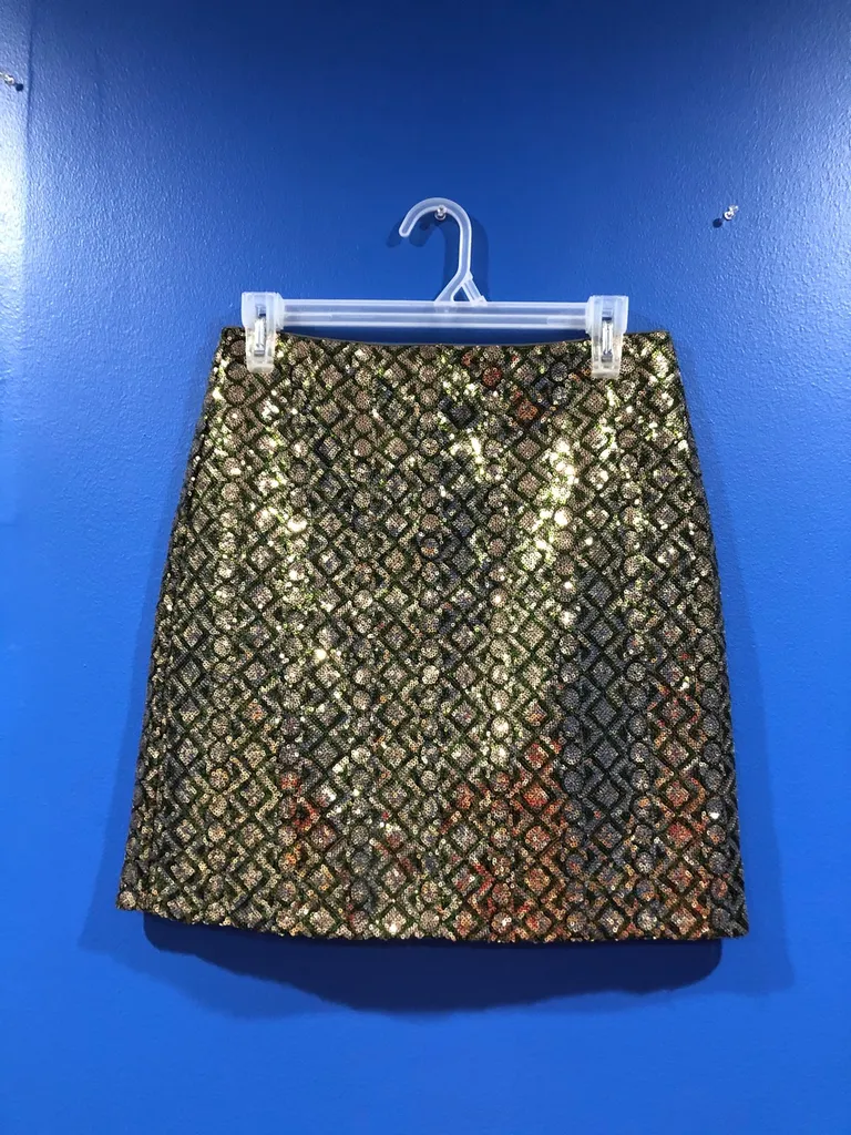 Party Skirt - Size 2 Banana Republic photo 1