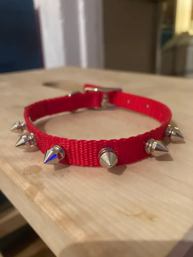 Studded Red Cat Collar photo 1