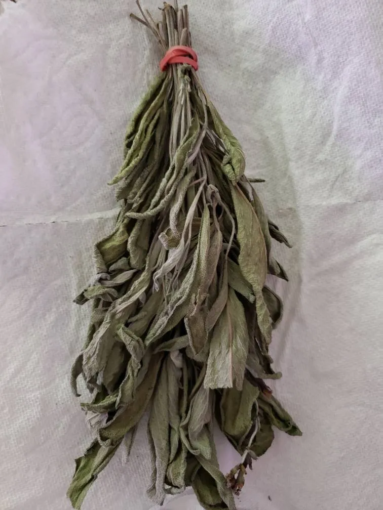 Dried Organic Sage Bundle photo 1