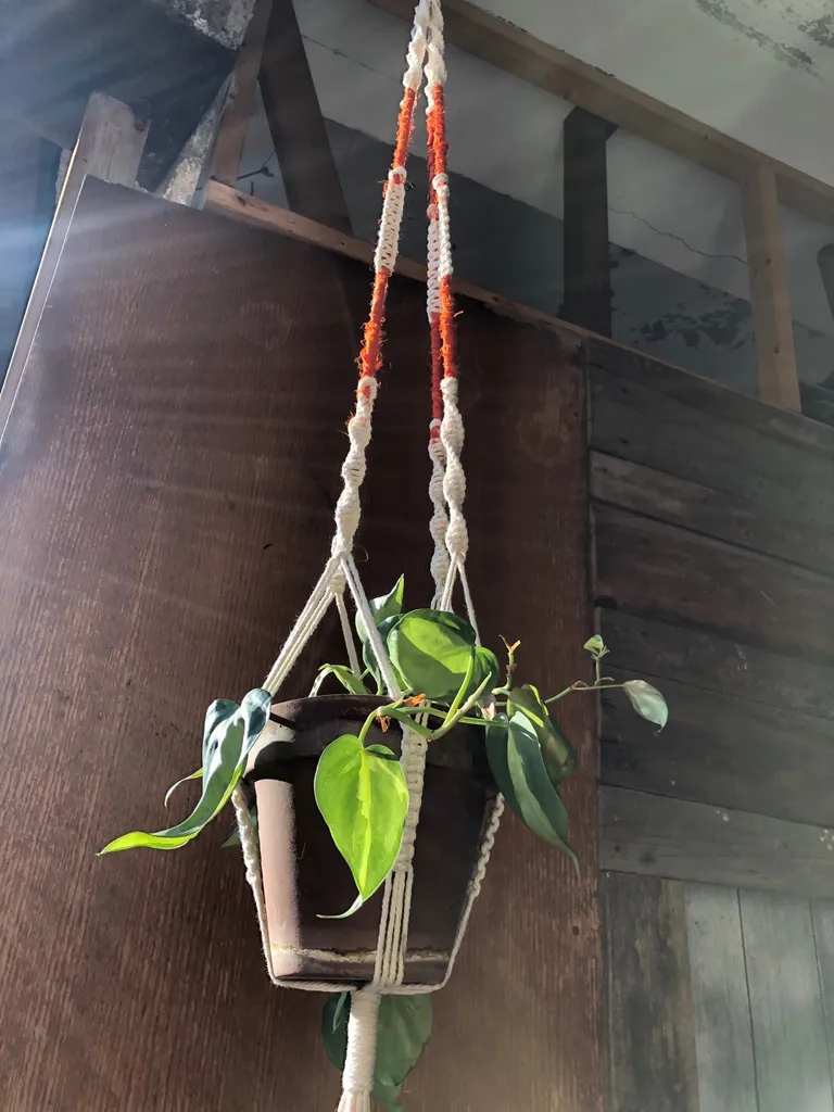Macrame Plant Hangers photo 1