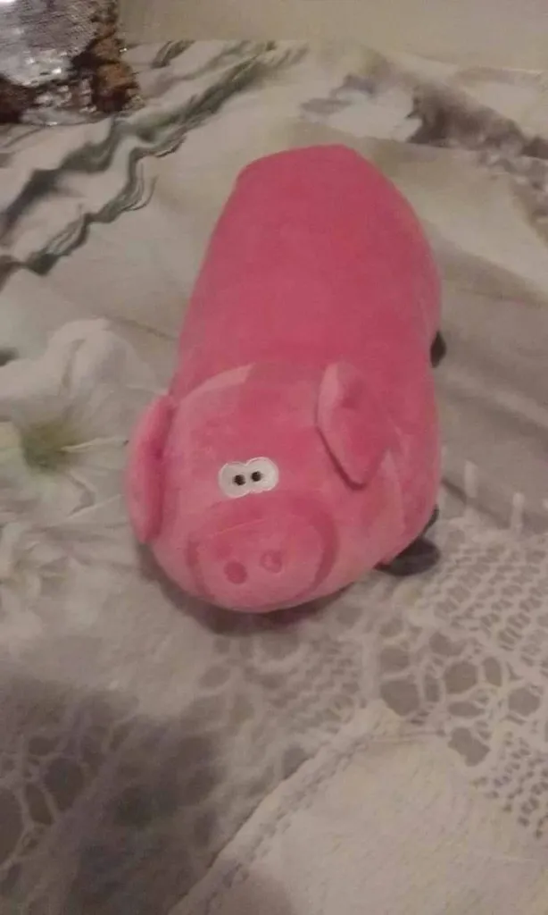 Piggy photo 1