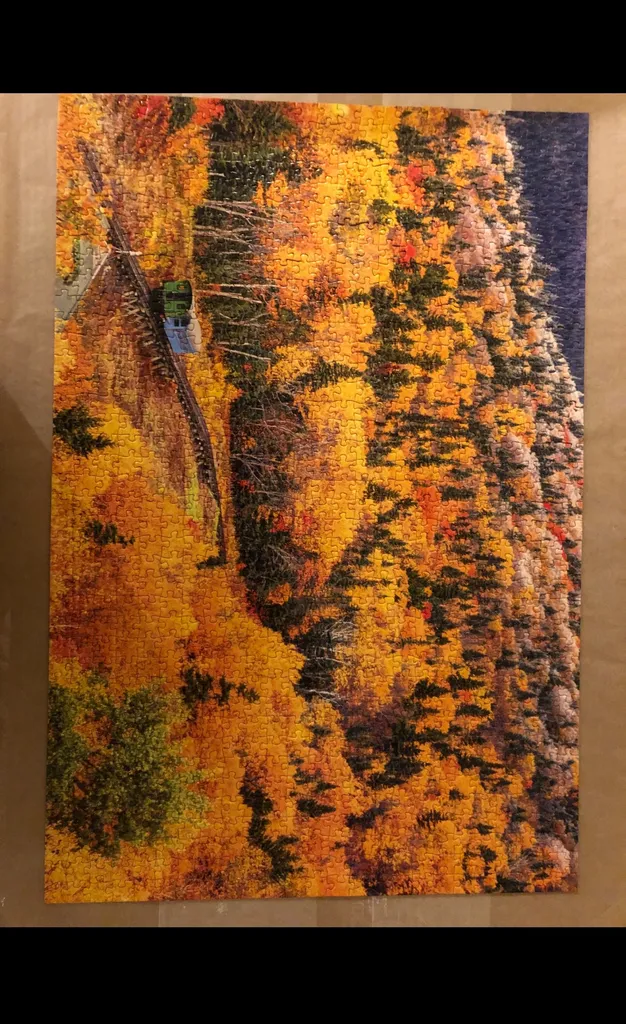 1000 Piece Puzzle! photo 1