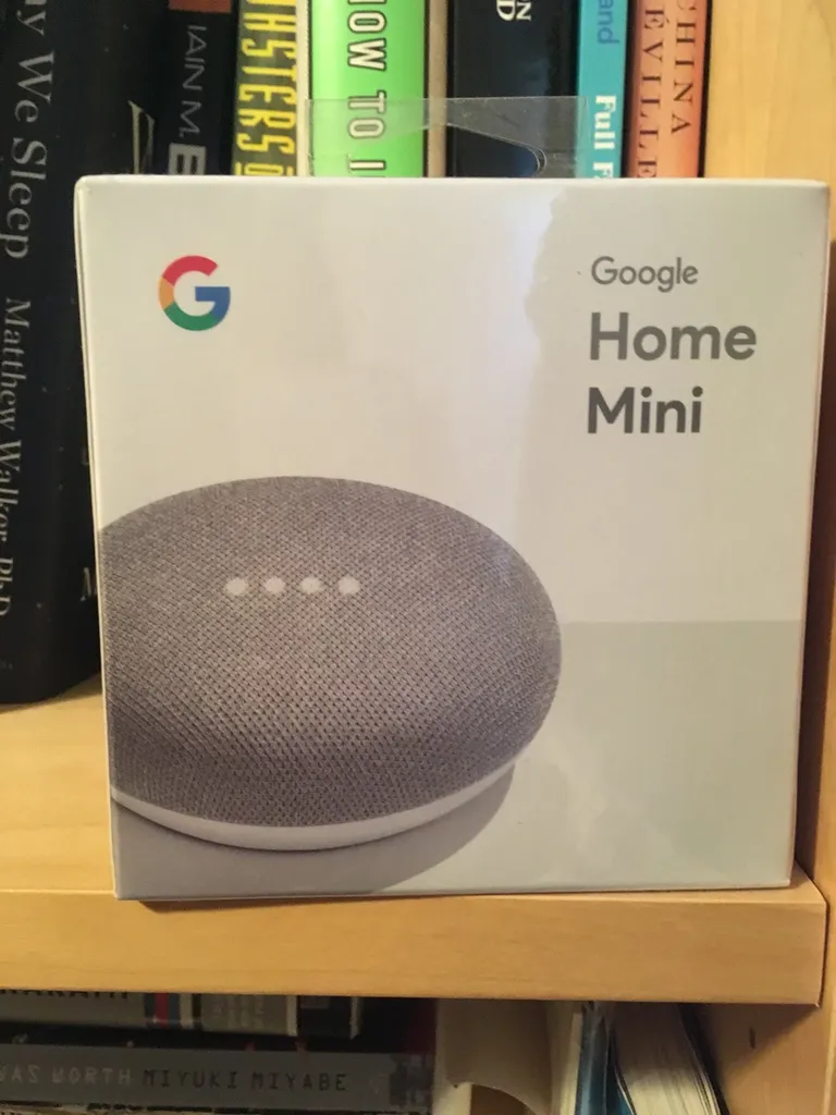 BNIP Google Home Mini photo 1