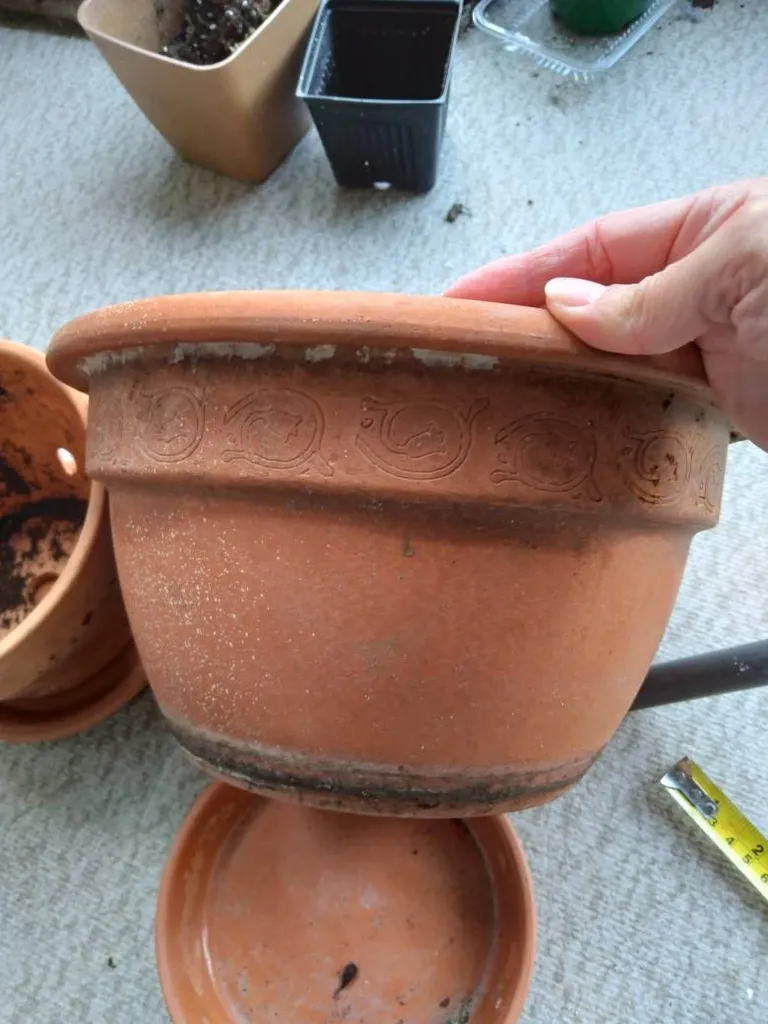 Big Terracota Pot photo 1