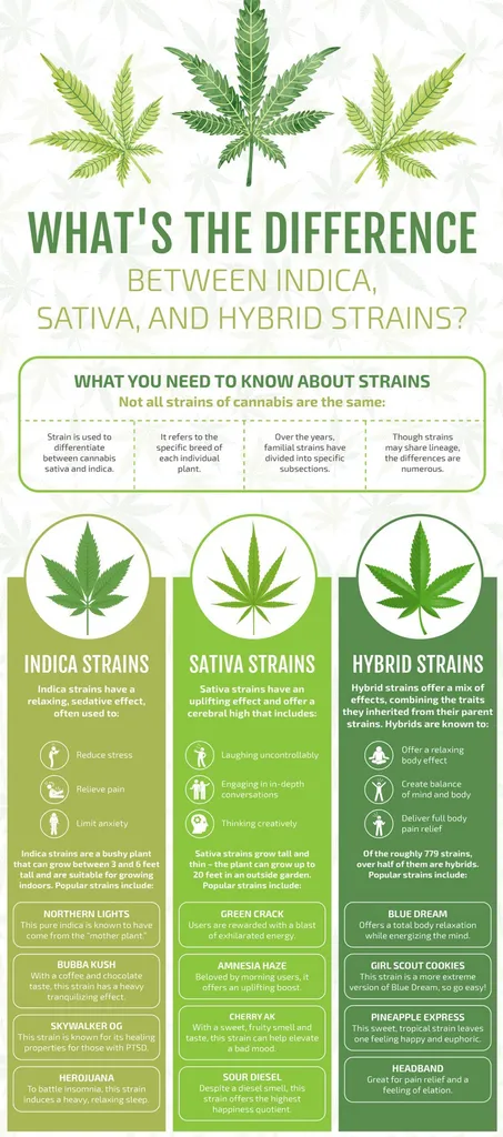 Information About Flowers photo 1