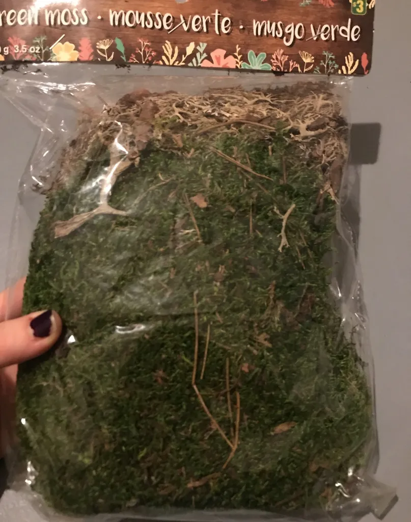 Craft Moss!! BNIP photo 1