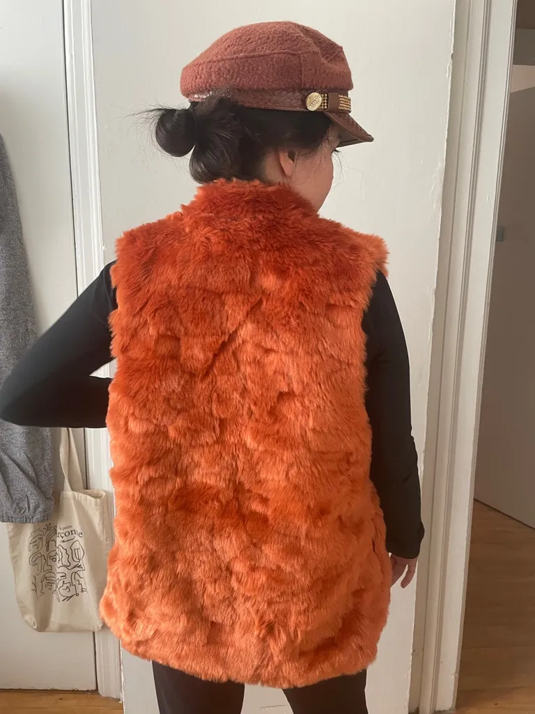 Vest And Hat photo 1