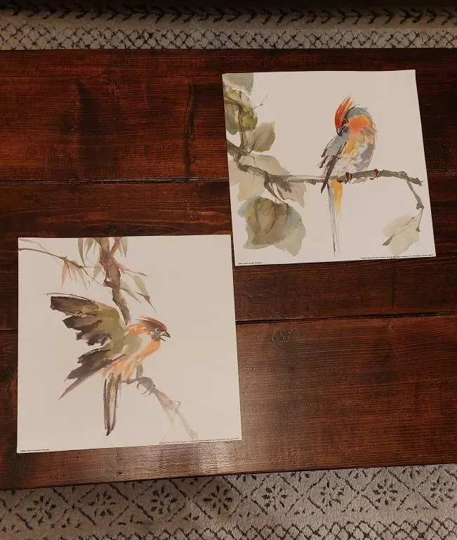 Colourful Bird Prints photo 1