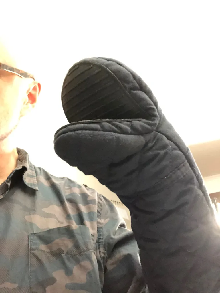 Microraptor Mittesaurus photo 1