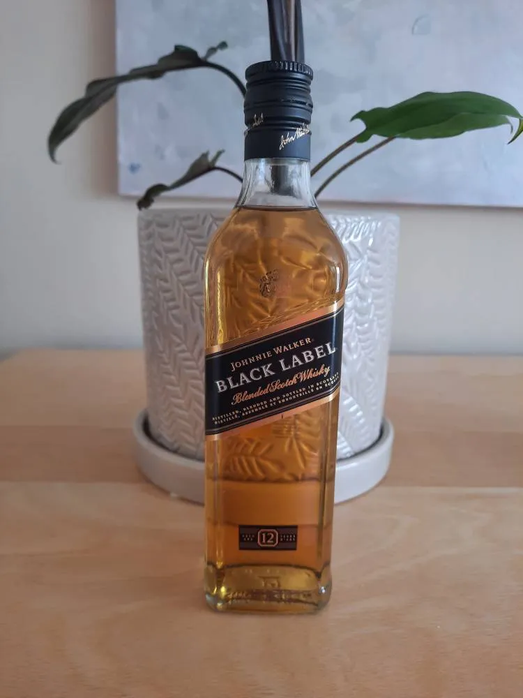 Black Label Jack photo 1