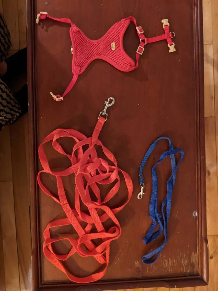 XS cat harness photo 1