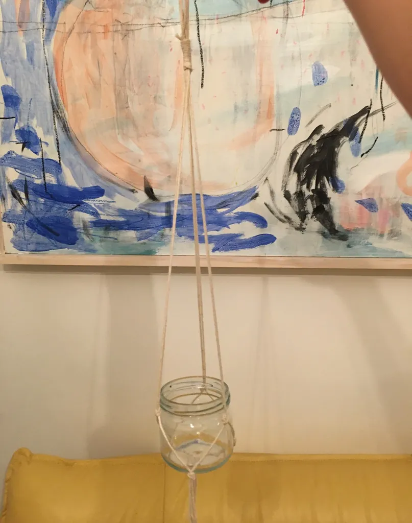 Minimalist Plant Hanger photo 1