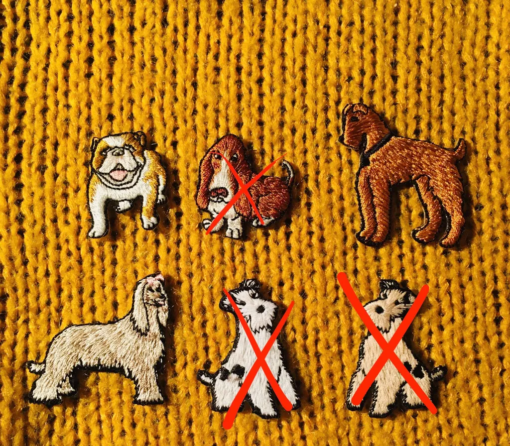 Dog Patches photo 1