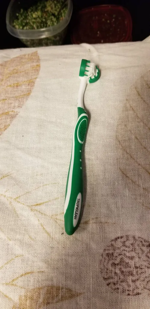 Dog Tooth Brush photo 1