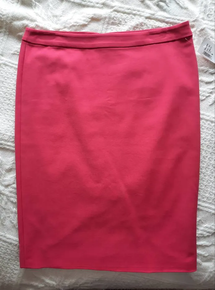 Pencil Skirt photo 1