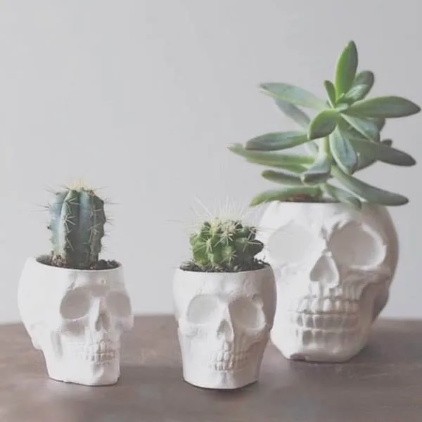 Small Skull Planter photo 1